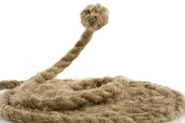 Nghịch tử giết cha vì không cho tiền mua rượu