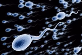 Những cách hiệu quả để tăng lượng tinh binh