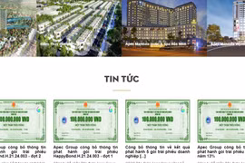 Doanh nghiệp “họ” Apec liên tục nhận “trát phạt”, cổ phiếu thi nhau giảm sàn