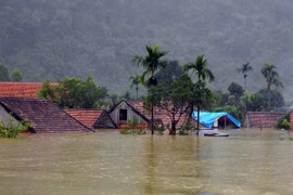 ADB tài trợ 60 triệu USD cải thiện cơ sở hạ tầng cho cộng đồng dân tộc thiểu số Việt Nam 