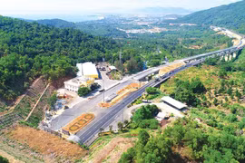 Sắp phát hành lượng lớn trái phiếu, Đèo Cả muốn ngân hàng không tính vào dư nợ tín dụng, chuyên gia nói không khả thi