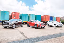 Bất thường nhập khẩu ô tô biếu tặng: Hải quan phải xác minh doanh nghiệp, cá nhân nhận xe trước khi cấp phép