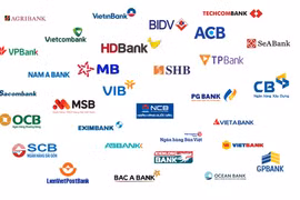 Định giá ở mức cao, động lực nào đưa cổ phiếu ngân hàng trở lại đường đua?