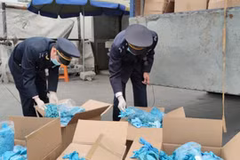 Nhập khẩu găng tay đã qua sử dụng, Công ty Ngọc Diệp bị khởi tố