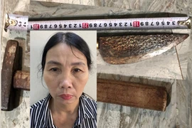 Khởi tố người đàn bà dùng búa gây trọng án