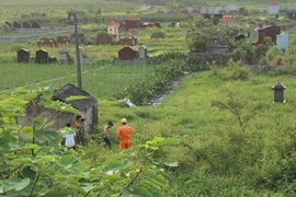 Đối tượng cắt trộm cáp, bị tia điện phóng gây bỏng nặng