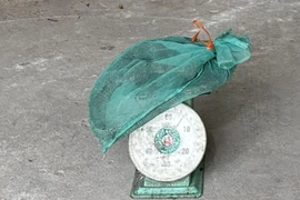 Nam thanh niên vận chuyển động vật hoang dã