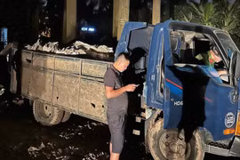 Quyết liệt xử lý tội phạm trong lĩnh vực kinh tế, môi trường