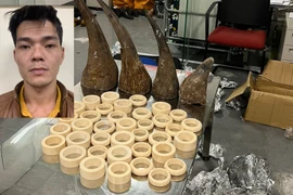Công an Hà Nội khám xét khẩn cấp nơi ở của đối tượng vận chuyển sừng tê giác, ngà voi