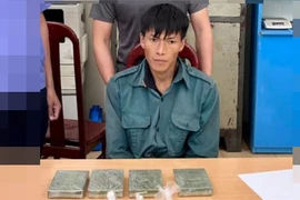 Nhận 20 triệu đồng để mang chuyến hàng "đặc biệt"