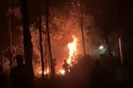 Huy động lực lượng triển khai dập đám cháy rừng trong đêm ở huyện Sóc Sơn