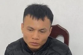 Đối tượng đập phá hàng chục cửa kính ô tô trộm cắp tài sản 