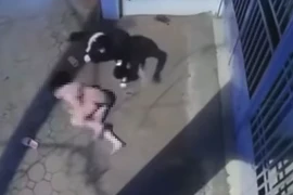 Đối tượng sát hại bạn gái cũ ở phố Vương Thừa Vũ đã đầu thú