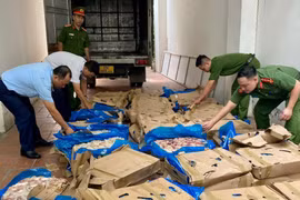 Công an quận Tây Hồ kiên quyết xử lý vi phạm về môi trường