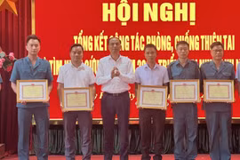 Kịp thời phát hiện, xử lý các vi phạm pháp luật về đê điều