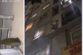 Động viên nam sinh lớp 9 từ bỏ ý định quyên sinh