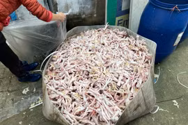 Xử phạt cơ sở kinh doanh chân gà bẩn