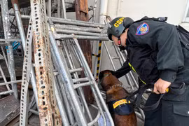 Lần đầu tiên đưa chó nghiệp vụ tham gia diễn tập tình huống phòng chống cháy, nổ, cứu nạn, cứu hộ 