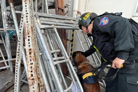 Lần đầu tiên đưa chó nghiệp vụ tham gia diễn tập tình huống phòng chống cháy, nổ, cứu nạn, cứu hộ 