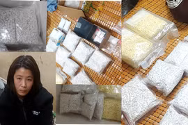 Triệt phá thành công nhóm tội phạm ma tuý hoạt động tinh vi