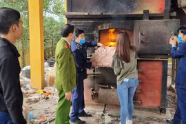 Xử phạt 42 triệu đồng và tiêu hủy 2 tấn chân gà đông lạnh