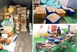 Phát hiện gần 10 tấn thực phẩm không rõ nguồn gốc