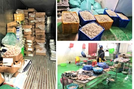 Phát hiện gần 10 tấn thực phẩm không rõ nguồn gốc