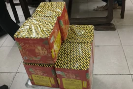 Chặn nam thanh niên vận chuyển gần 10 kg pháo