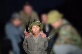 Ẩn nấp trong bụi cây dùng đá tấn công du khách