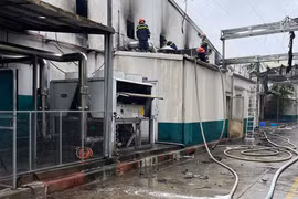 Cháy kho bảo quản thuốc thú y, 4 người thoát nạn an toàn