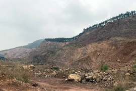 Nguyên Giám đốc Công ty bị bắt giam vì “Vi phạm quy định về khai thác tài nguyên”