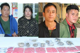 Triệt phá nhóm đối tượng xuyên rừng vận chuyển ma túy số lượng cực lớn