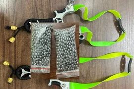 Hủy hoại tài sản, nhóm đối tượng bị bắt khẩn cấp