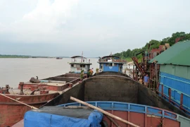 Bắt giữ 5 tàu khai thác, mua bán cát trái phép trên sông Hồng