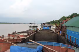 Bắt giữ 5 tàu khai thác, mua bán cát trái phép trên sông Hồng