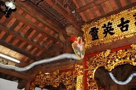 Thực hư chuyện hóa điên vì mạo phạm thần rắn