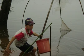 Trẻ em vùng lũ vất vả mưu sinh