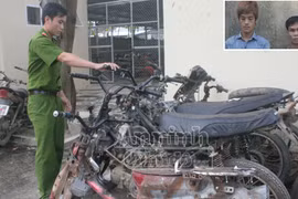 "Xóa sổ" nhóm trộm chuyên sống trong rừng