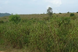 Một người dân tộc hiến 4.000m2 đất để mở đường giao thông