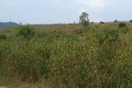 Một người dân tộc hiến 4.000m2 đất để mở đường giao thông