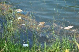 Dắt nhau ra bờ ao, 2 cháu bé chết đuối thương tâm