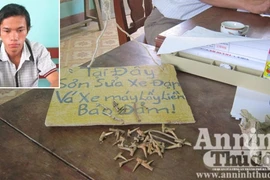"Đinh tặc" sa lưới