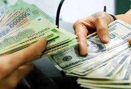 Phó bí thư Đảng ủy xã lập hồ sơ khống, chiếm đoạt gần 700 triệu đồng