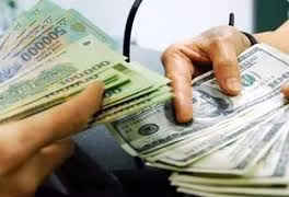 Phó bí thư Đảng ủy xã lập hồ sơ khống, chiếm đoạt gần 700 triệu đồng