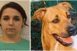 Phẫn nộ với cô gái hành hạ thú cưng của bạn trai để làm niềm vui