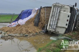 Xe tải chở dưa hấu “cắm đầu” xuống ruộng