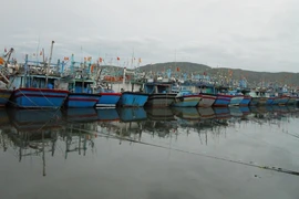 Bình Định khẩn trương ứng phó với bão số 8