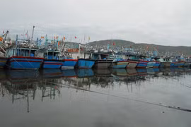 Bình Định khẩn trương ứng phó với bão số 8