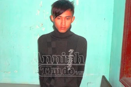 Vụ cụ bà 81 tuổi bị sát hại dã man: Hung thủ là đứa cháu ngoại