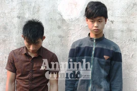 Khởi tố hai 9X "hành nghề" trộm chó